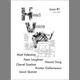 Ben Chasny, Donovan Quinn & James Toth Head Voice #1 Magazine