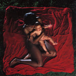 The Afghan Whigs - Congregation 2xLP