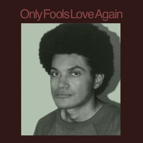Danny Ayala – Only Fools Love Again LP
