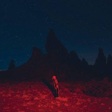 BRIDGERS,PHOEBE / PUNISHER CD