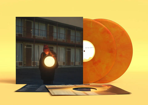 Flock Of Dimes – The Life You Save 2LP (loser color)