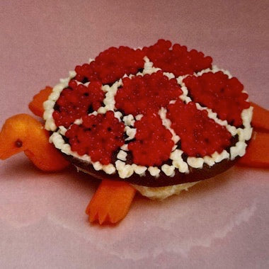 Sharp Pins – Turtle Rock LP