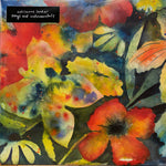Lenker, Adrianne  – Songs And Instrumentals 2xLP