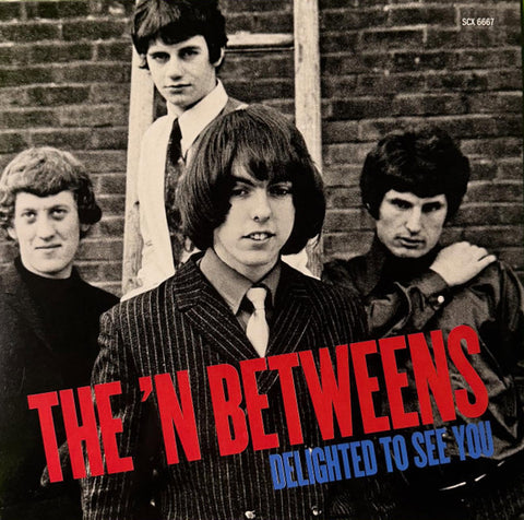 The N' Betweens – DELIGHTED TO SEE YOU LP