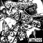 Subliminal Excess - Witness 7"