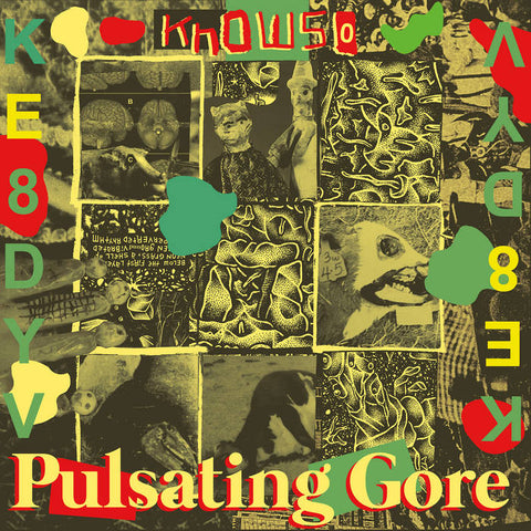 Knowso - Pulsating Gore LP