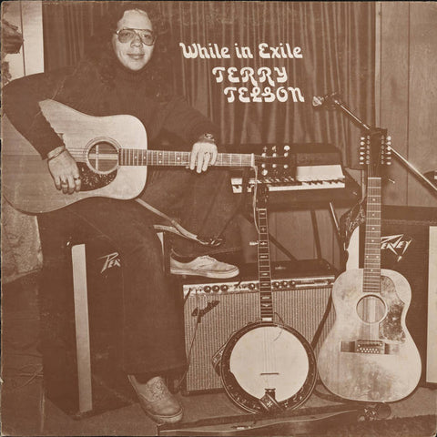 Terry Telson - While In Exile LP