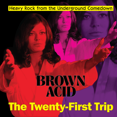 Various – Brown Acid: The Twenty-First Trip LP