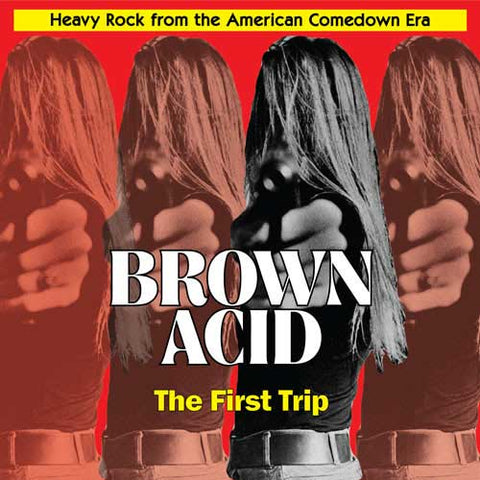 V/A - Brown Acid: The First Trip LP