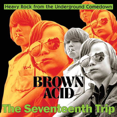 V/A - Brown Acid: The Seventeenth Trip LP