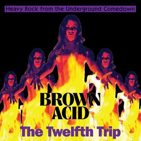V/A - Brown Acid: The Twelfth Trip LP