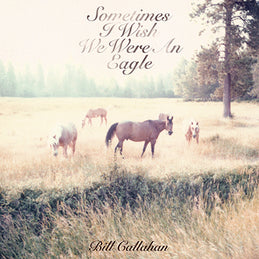 Bill Callahan – Sometimes I Wish We Were An Eagle LP