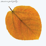 Pete Jolly - Seasons ('24 RE, green vinyl)